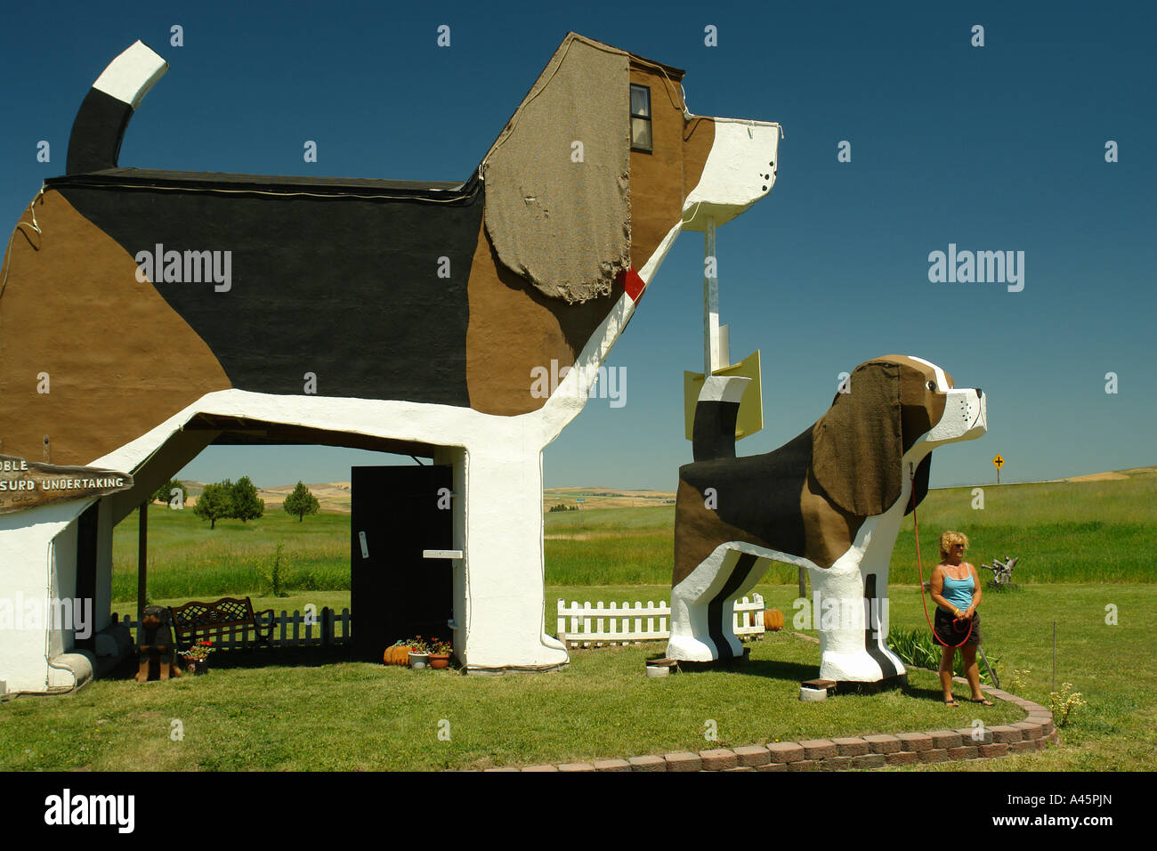 AJD56186, Cottonwood, ID, Idaho, Camas Prairie, "World's Biggest Beagle