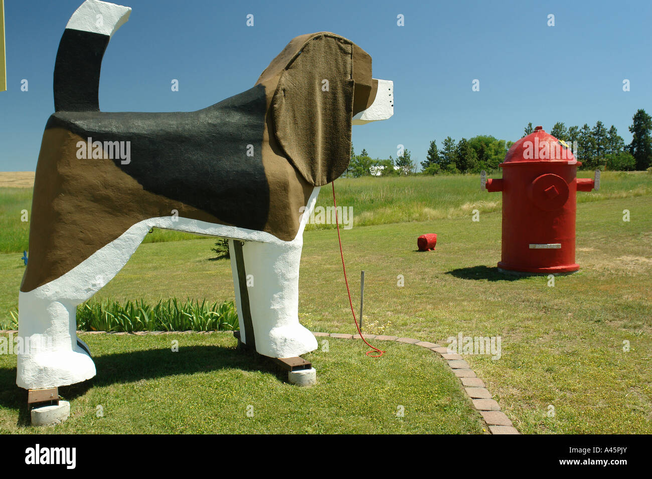 AJD56189, Cottonwood, ID, Idaho, Camas Prairie, "World's Biggest Beagle