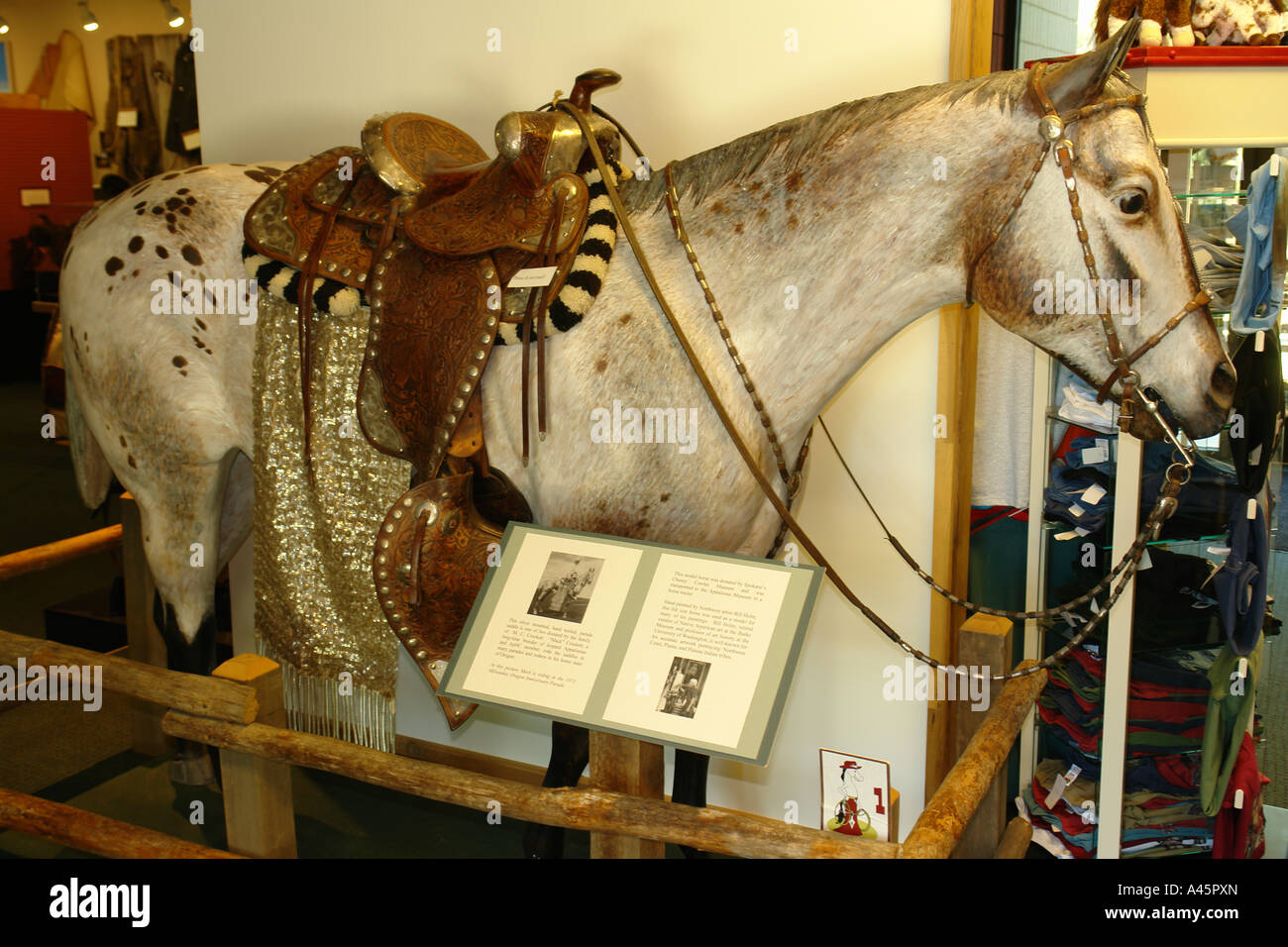 Appaloosa Heritage – Appaloosa News