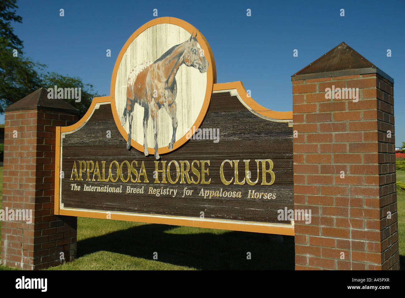 Appaloosa Horse Club