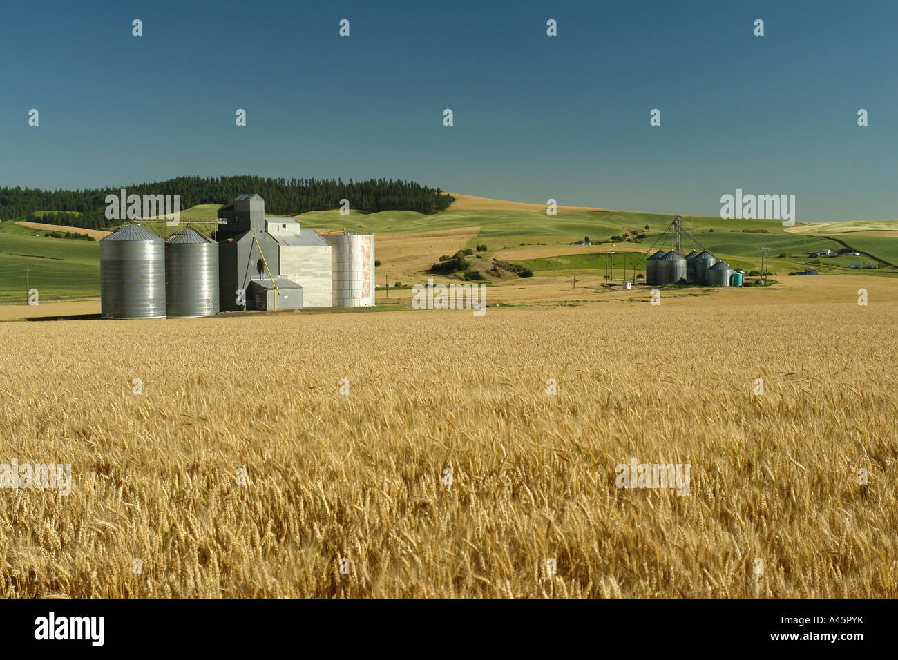 Palouse grain elevators wheat field hires stock photography and images