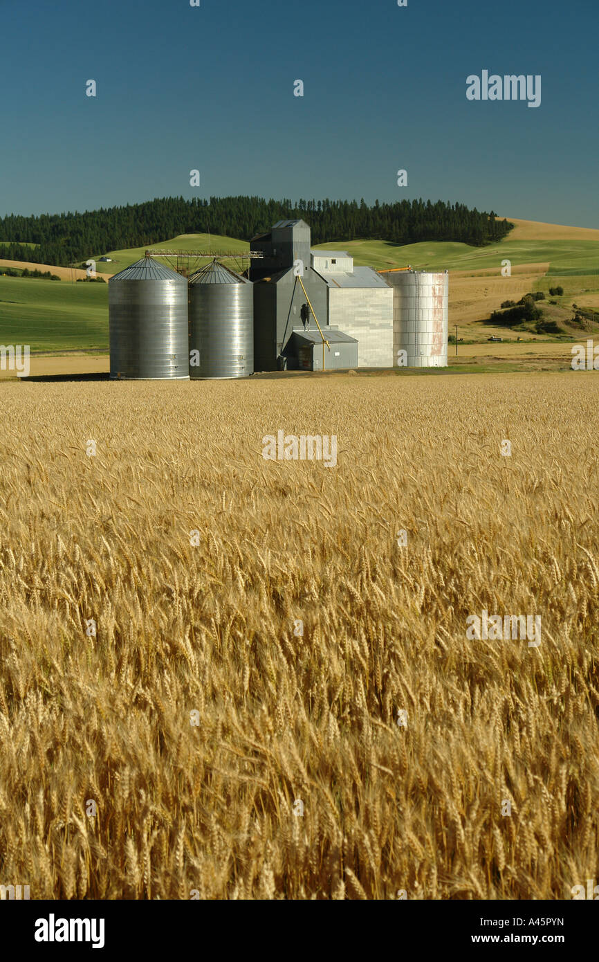 Wheat grain palouse elevators hires stock photography and images Alamy