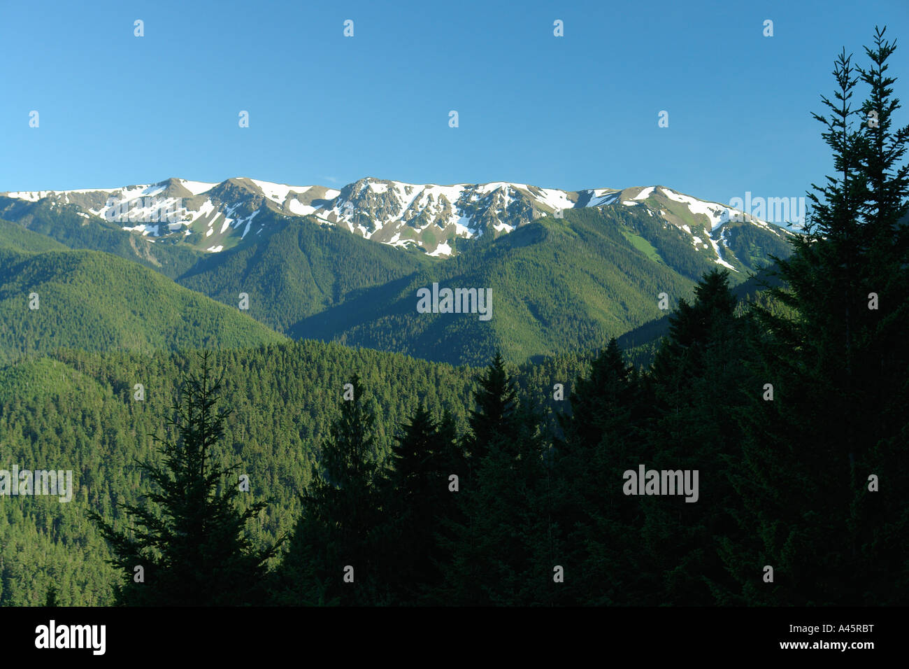AJD55375, WA, Washington, Olympic Peninsula, Olympic National Park ...