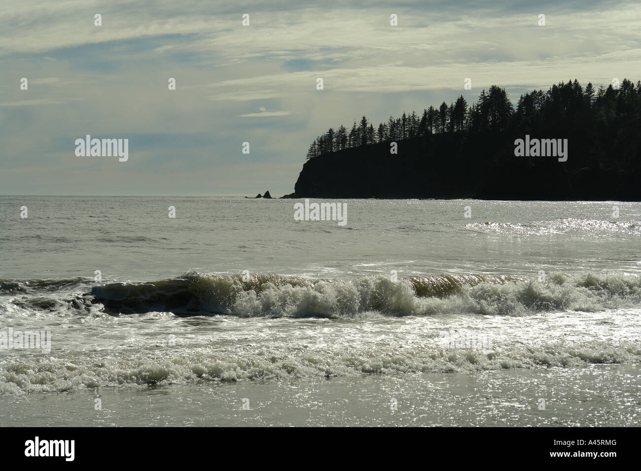 AJD55450, La Push, WA, Washington, Pacific Ocean, Olympic Peninsula