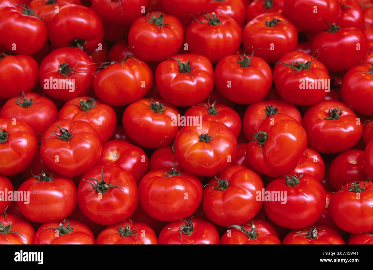 A mouth watering display of plump tomatoes at a market stall Stock ...