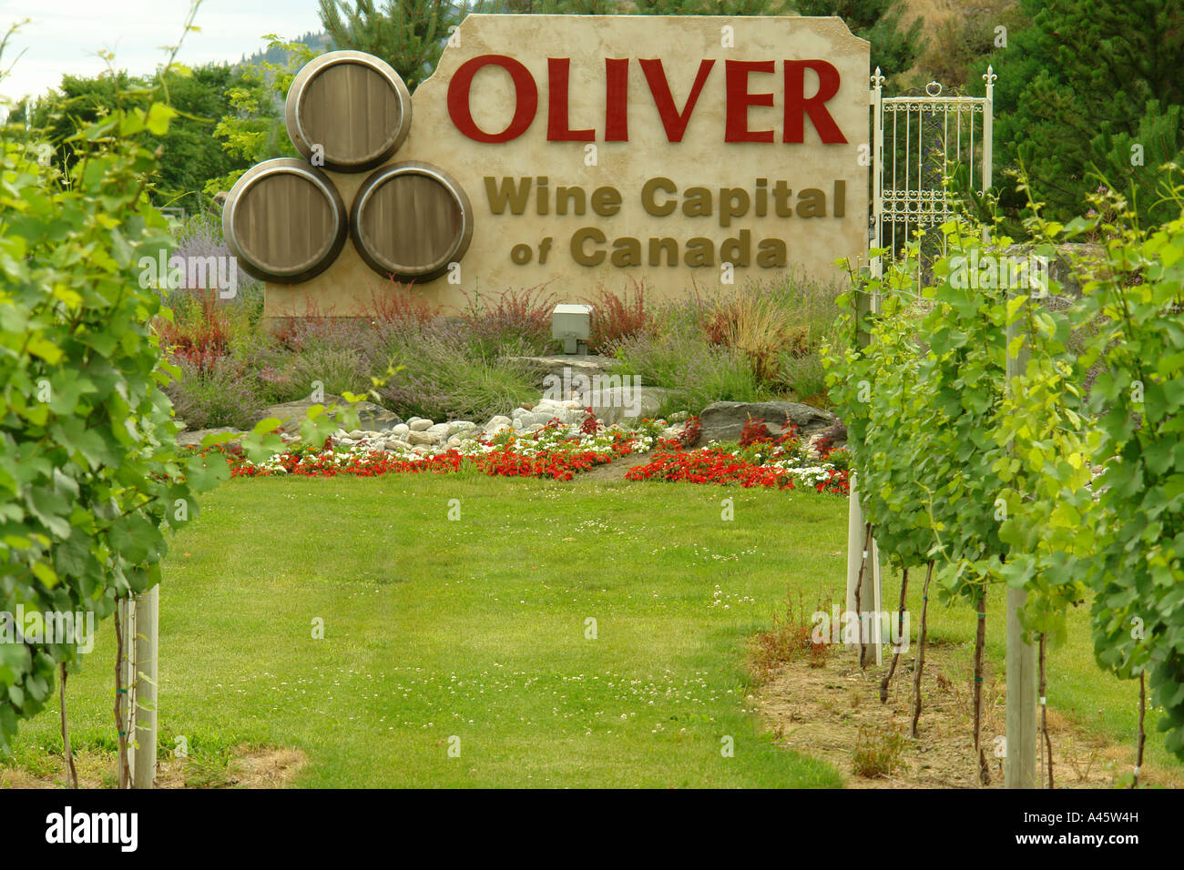 AJD55803, Oliver, Okanagan Valley, British Columbia, Canada, Oliver Wine Capital of Canada, entrance sign Stock Photo