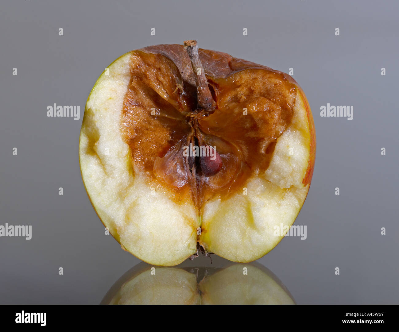 Rotten apple hires stock photography and images Alamy