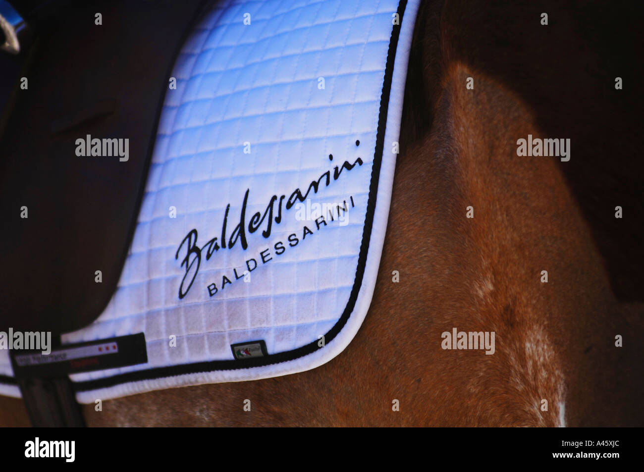 Baldessarini Name on a Saddlecloth - Baldessarini Snow Arena Polo World Cup Kitzbuehel 2006 Stock Photo
