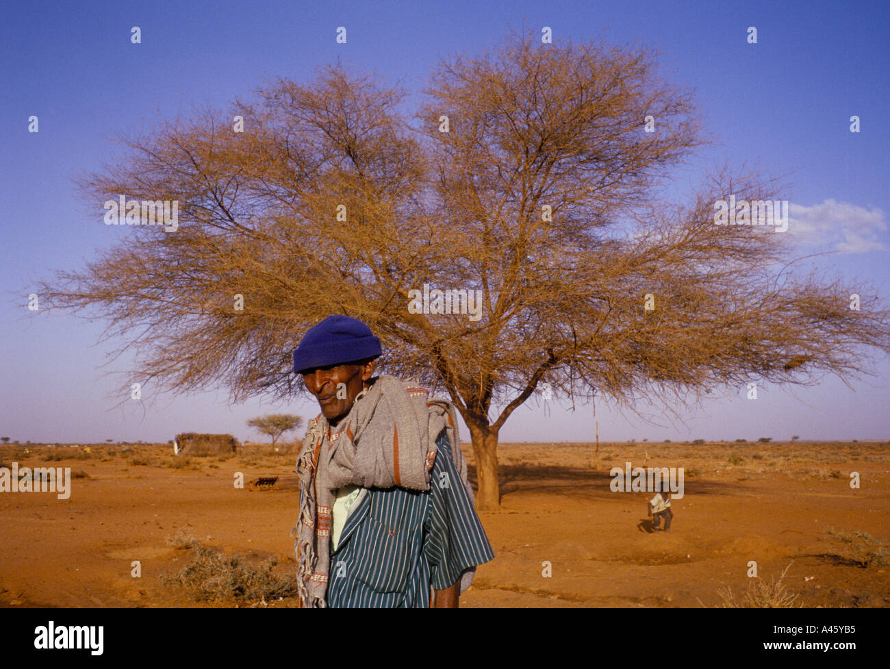 A farmer walks by a tree in the parched landscape of Eg village in the self declared independent country of Somaliland Stock Photo