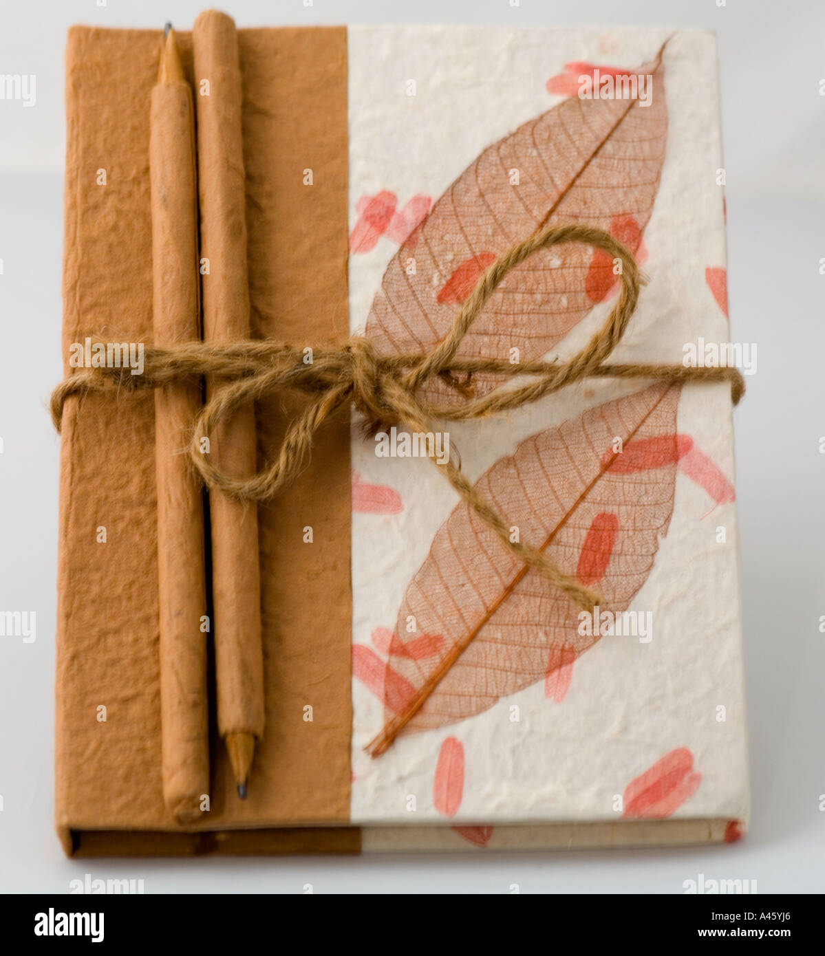 Journal decorated with transparent leaves Stock Photo