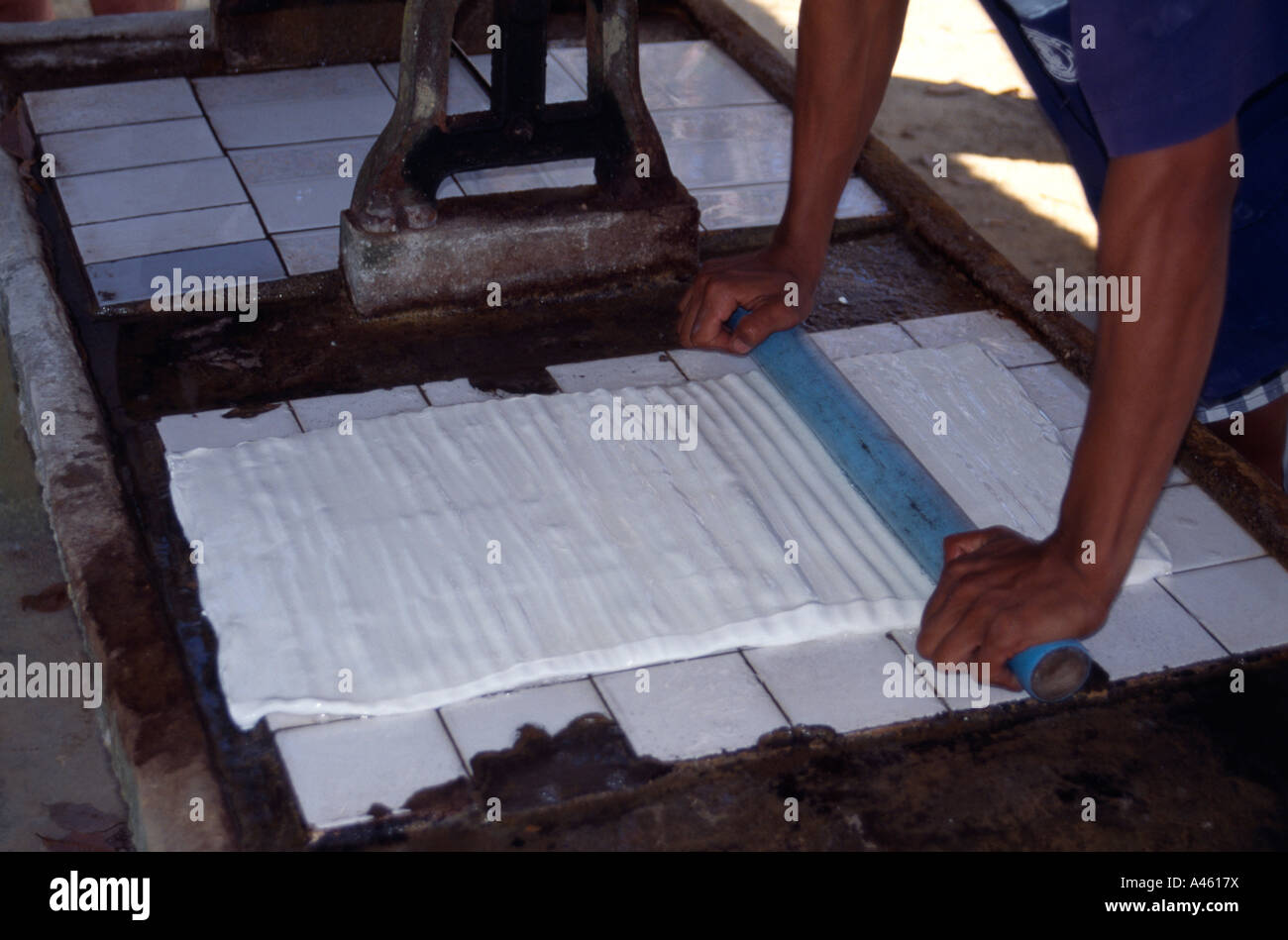 Thailand Southeast Asia Phang Nga Preparing Soaked Latex Rubber
