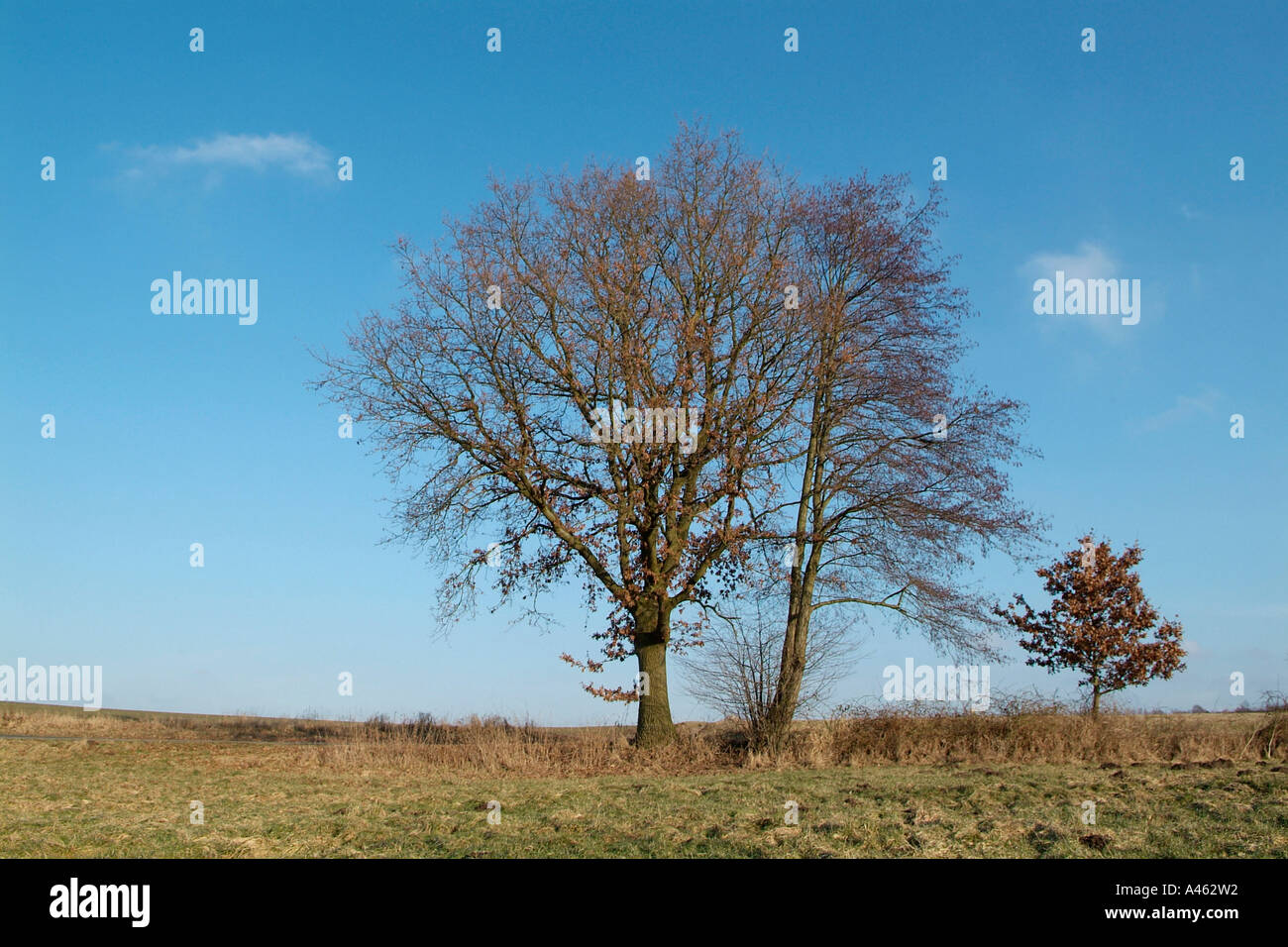 Particular hi-res stock photography and images - Alamy