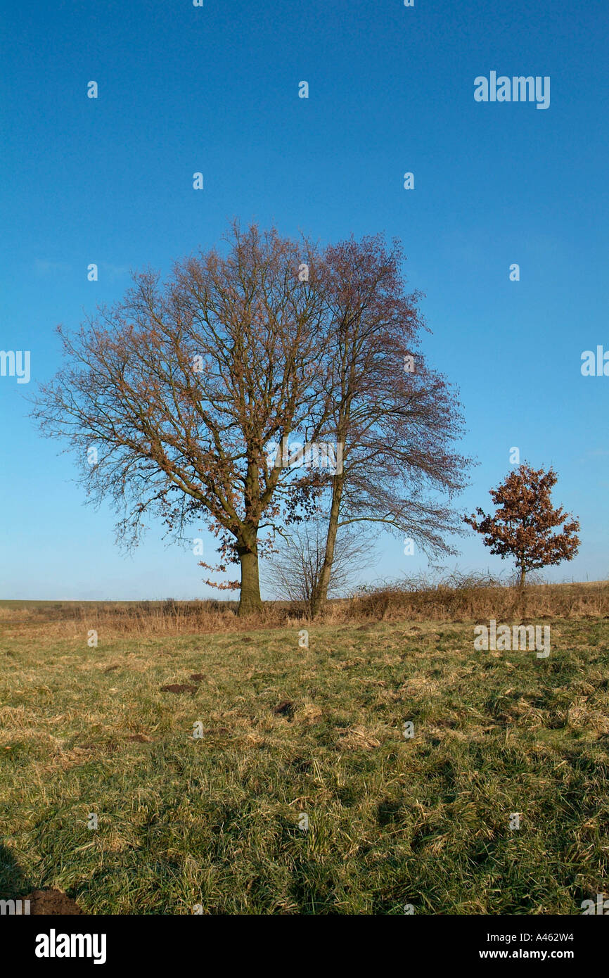 No particular hi-res stock photography and images - Alamy