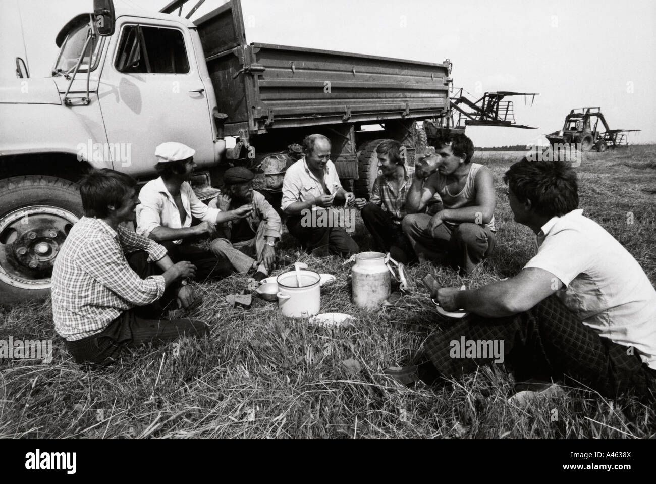 Day of agricultural worker in Russia: date Day of agricultural worker in Russia: date