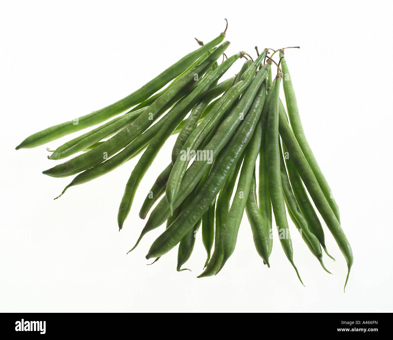 Beans on a white background Stock Photo