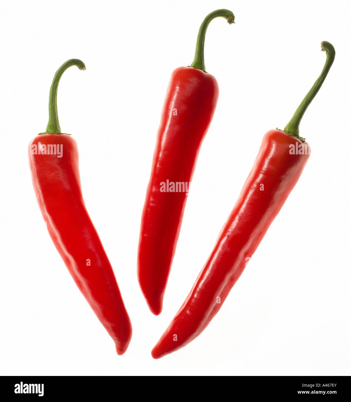 Red chilli peppers on a white background Stock Photo - Alamy