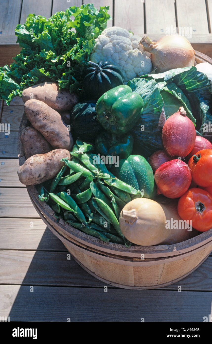 Bushel basket of home grown garden produce Stock Photo