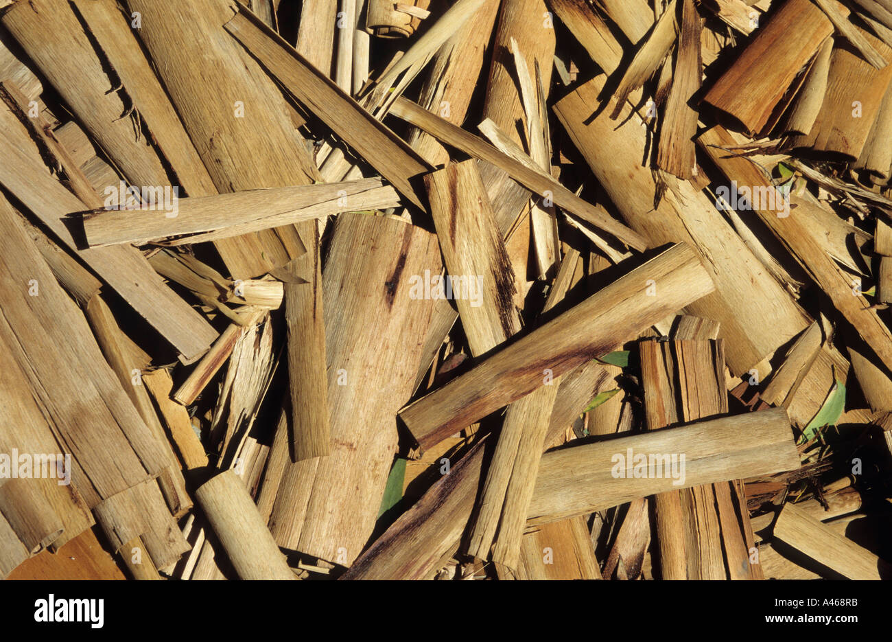 Small Pieces Wood Floor Stock Photos Small Pieces Wood Floor