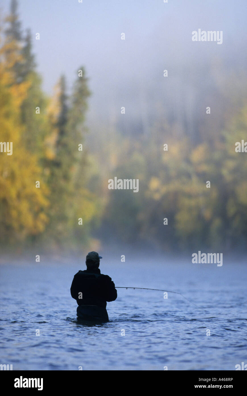 Flyfisherman on Bulkley river BC Stock Photo