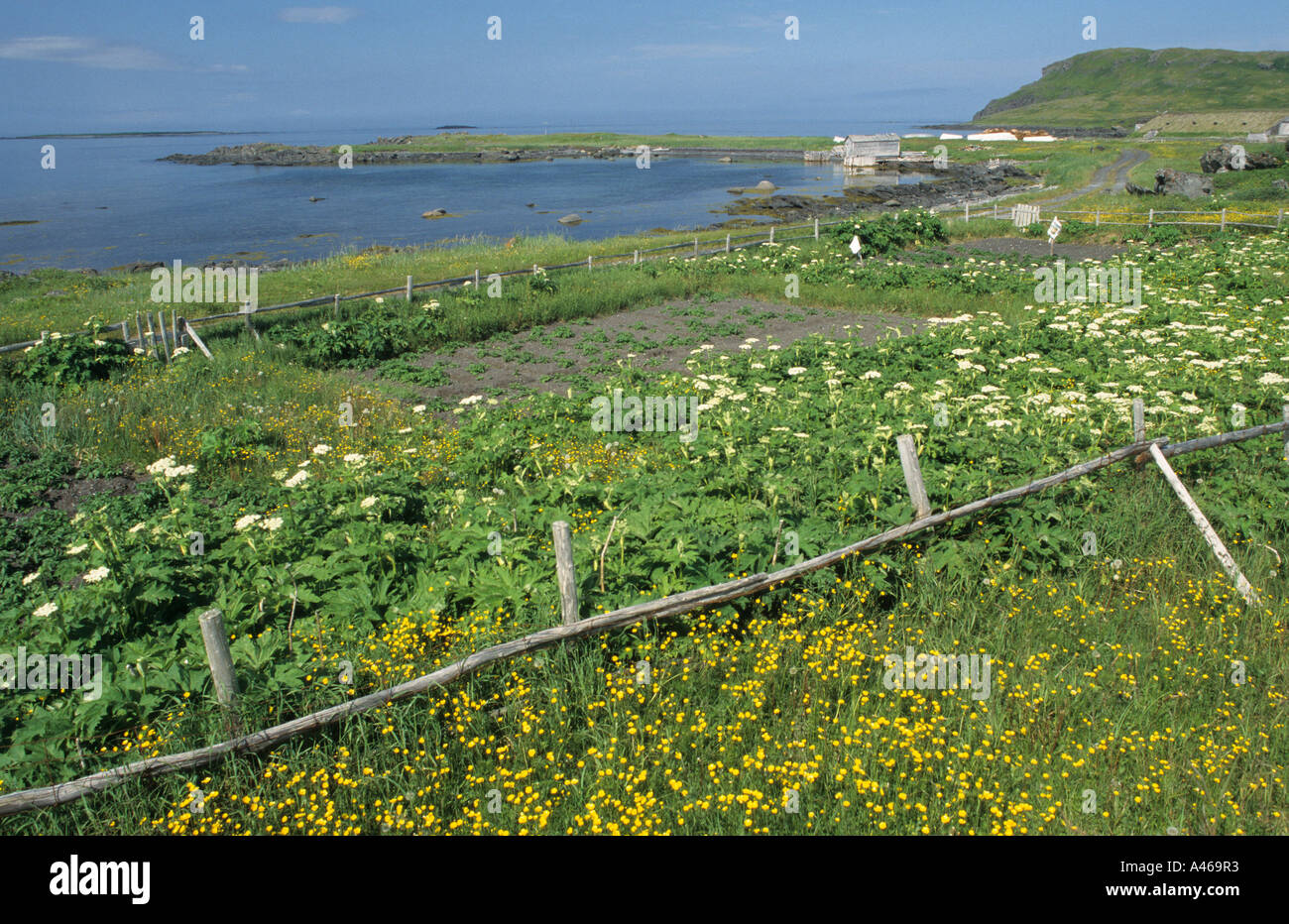 Coast at L´Anse aux Meadows, Newfoundland Stock Photo - Alamy