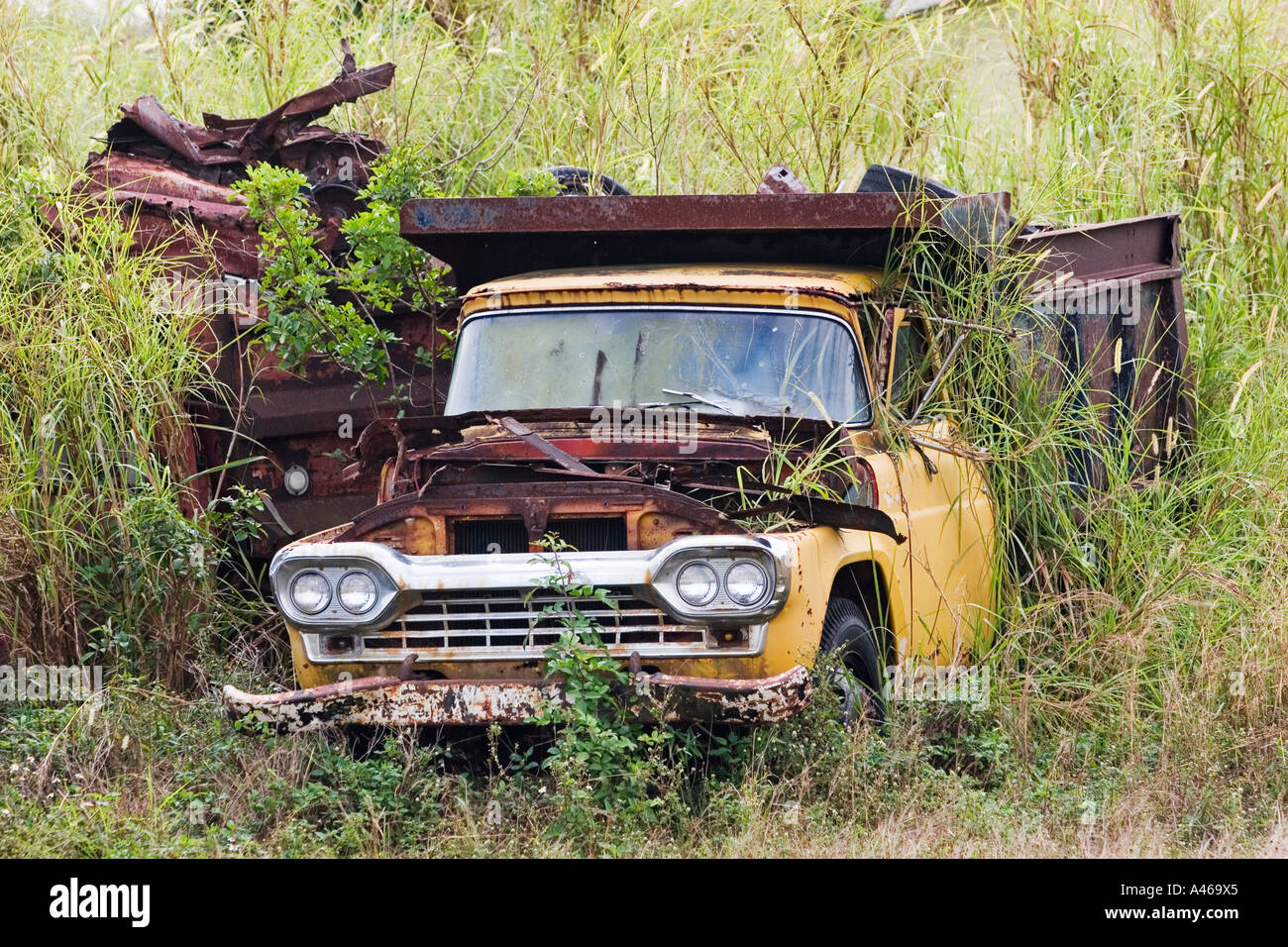 Car truck headlight headlights hi-res stock photography and images - Alamy