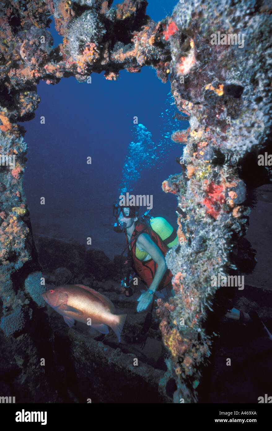 British Virgin Islands Rhone wreck scuba diver Stock Photo