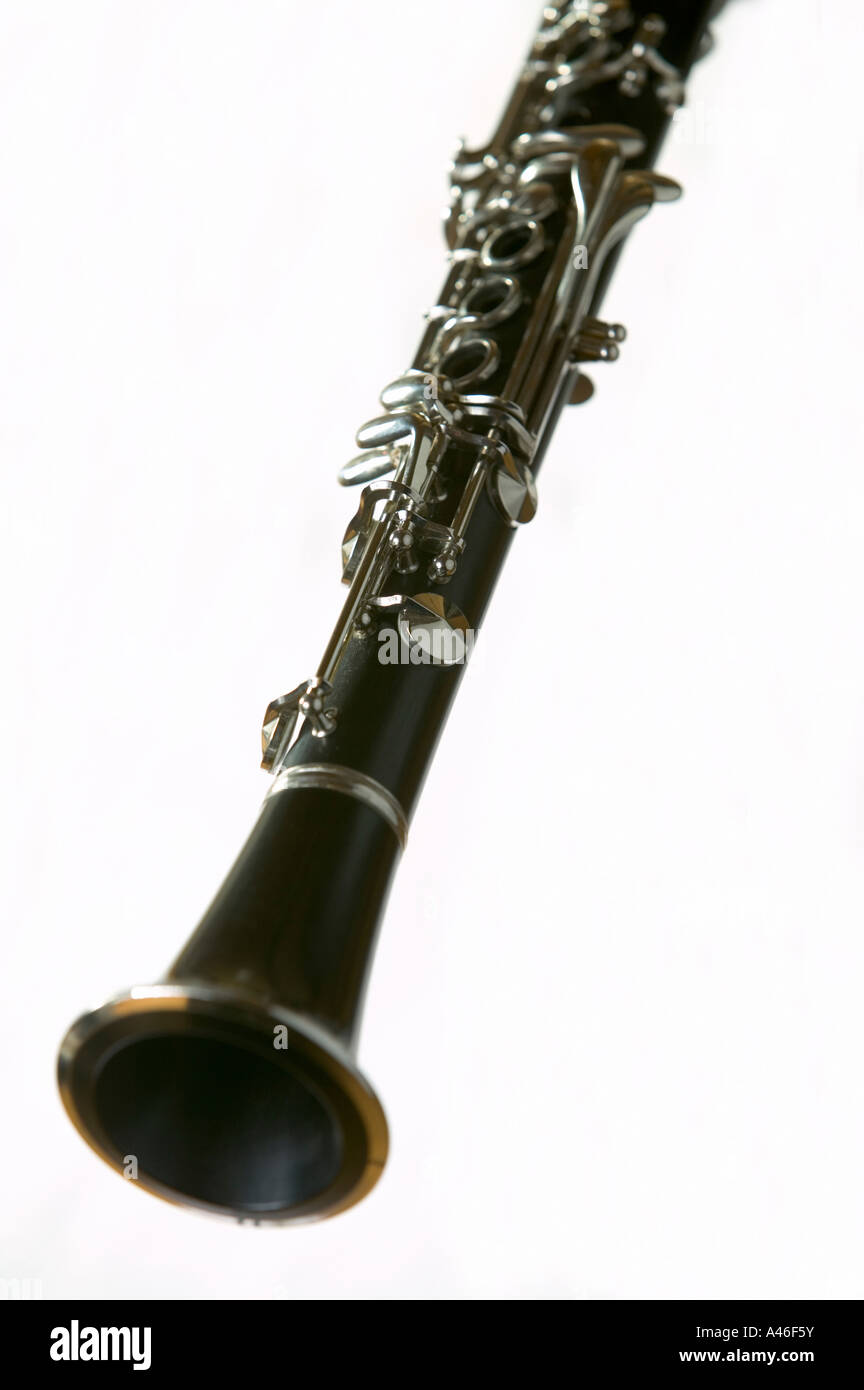 on white background Stock Photo Alamy