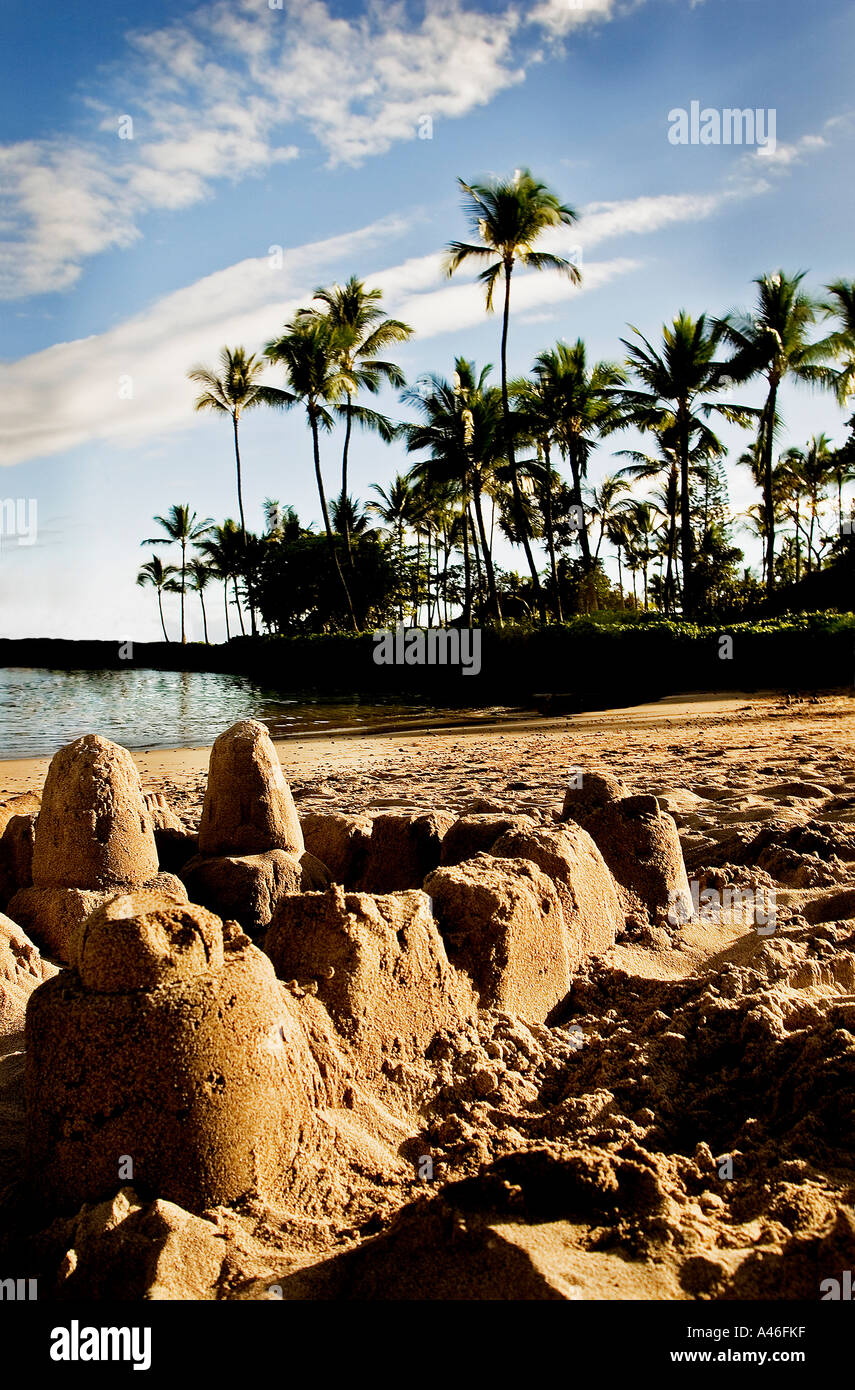 Sand castles on a tropical beach Stock Photo - Alamy