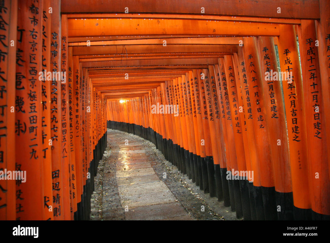 Torii Gates Kyoto Allee Von Torii Rote Tore Stock Photo Alamy