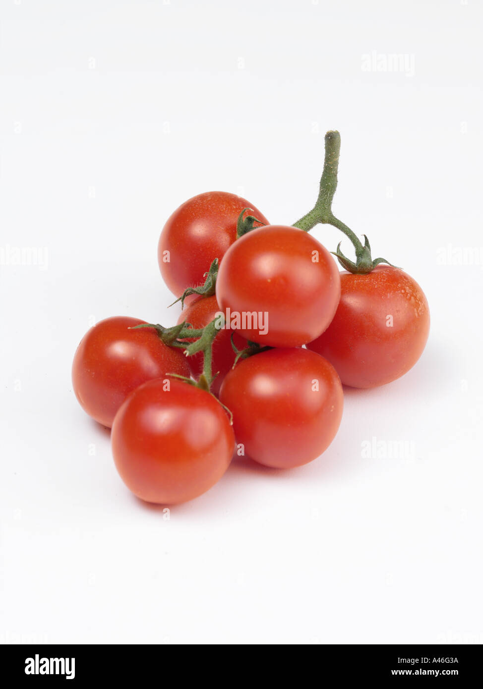 red tomatos Stock Photo