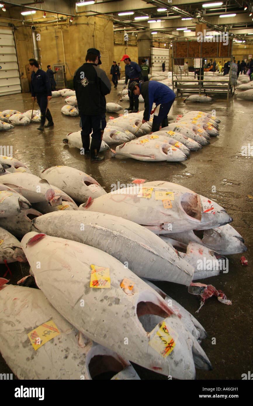 Fish market Tokyo Tokio Fischmarkt Stock Photo Alamy