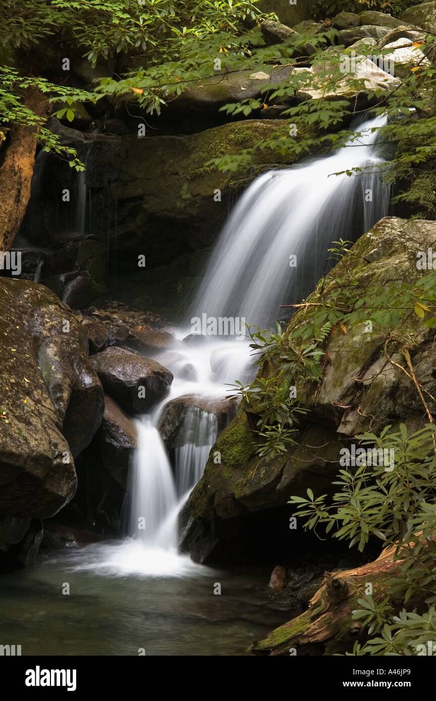 Grotto falls great smoky hi-res stock photography and images - Alamy