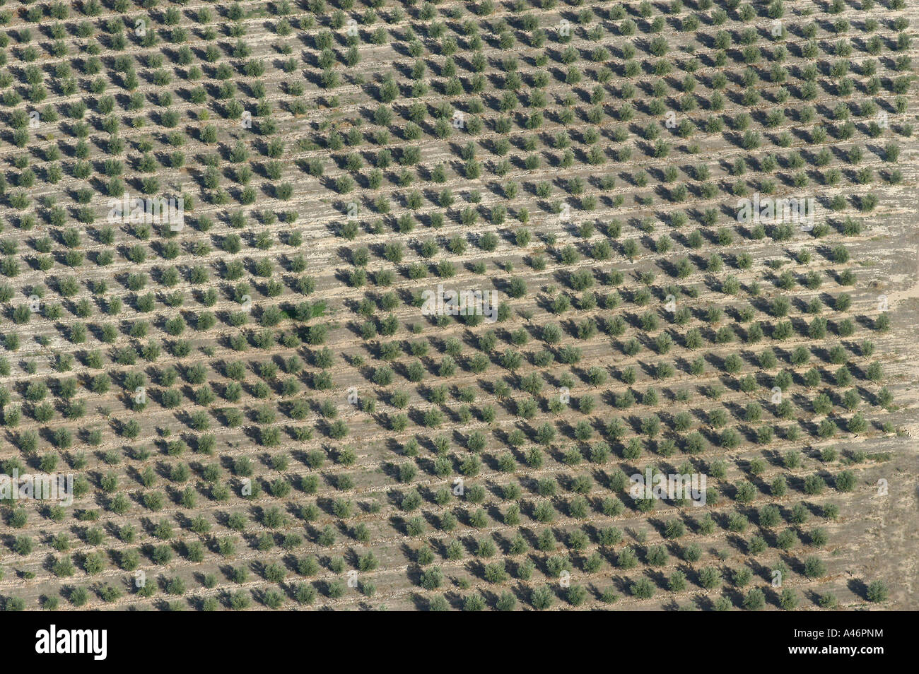 Aragon Spain Europe Mediterranean Spanish Spaniard landscape habitat