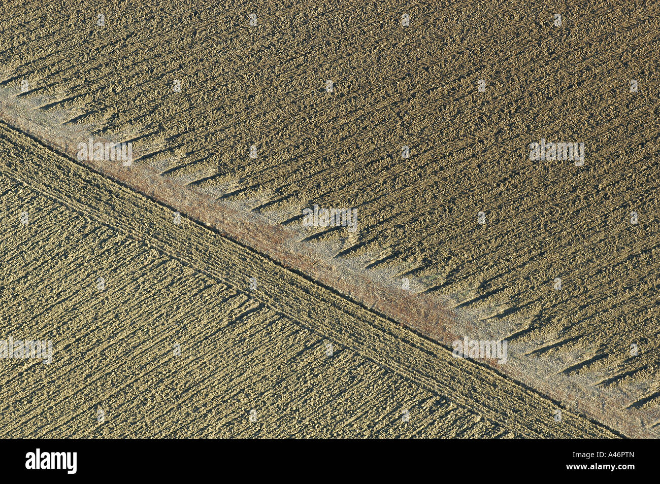 Aragon Spain Europe Mediterranean Spanish Spaniard landscape habitat
