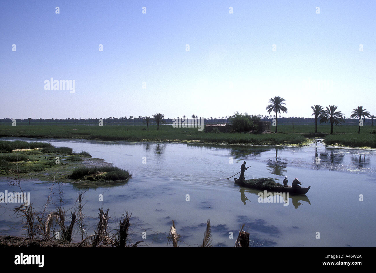 Marsh Arabs in a traditional reed boat near Basra, Southern Iraq Stock Photo