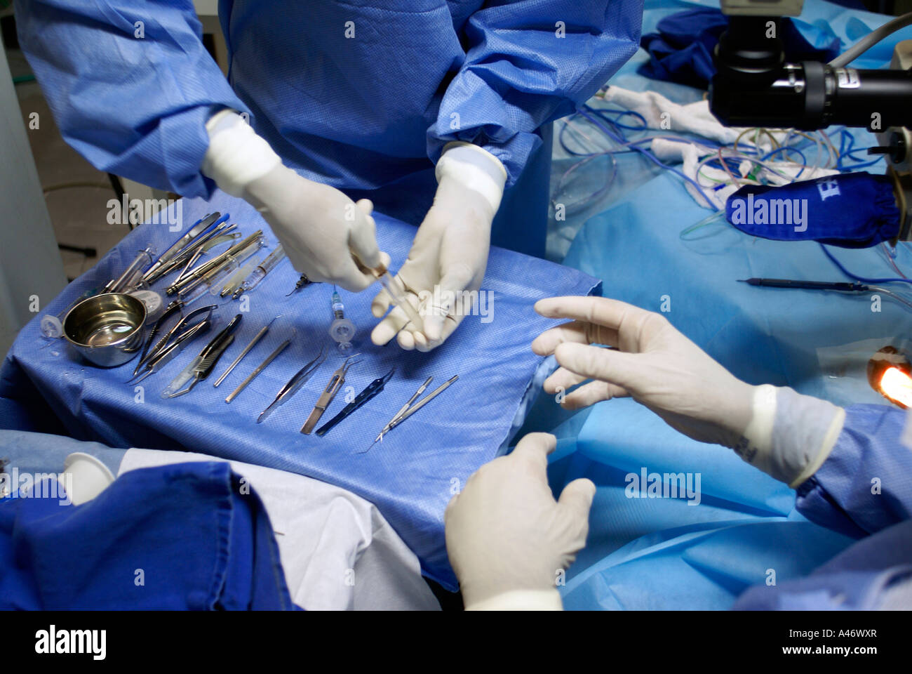 Operating roomnurse hands surgical instruments to the doctor, Recife