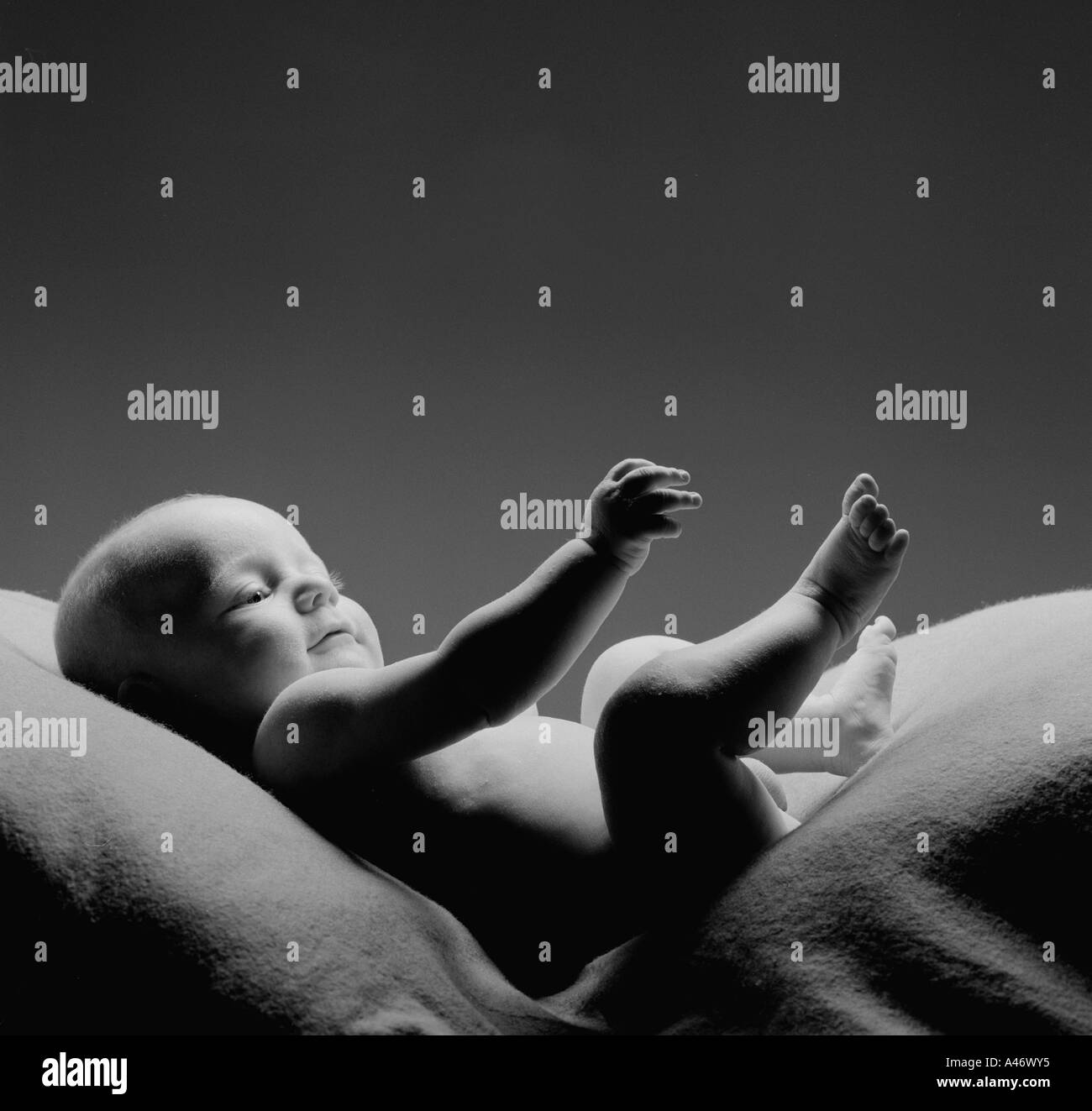 Black and white portrait of a newborn baby playing with their foot Stock Photo