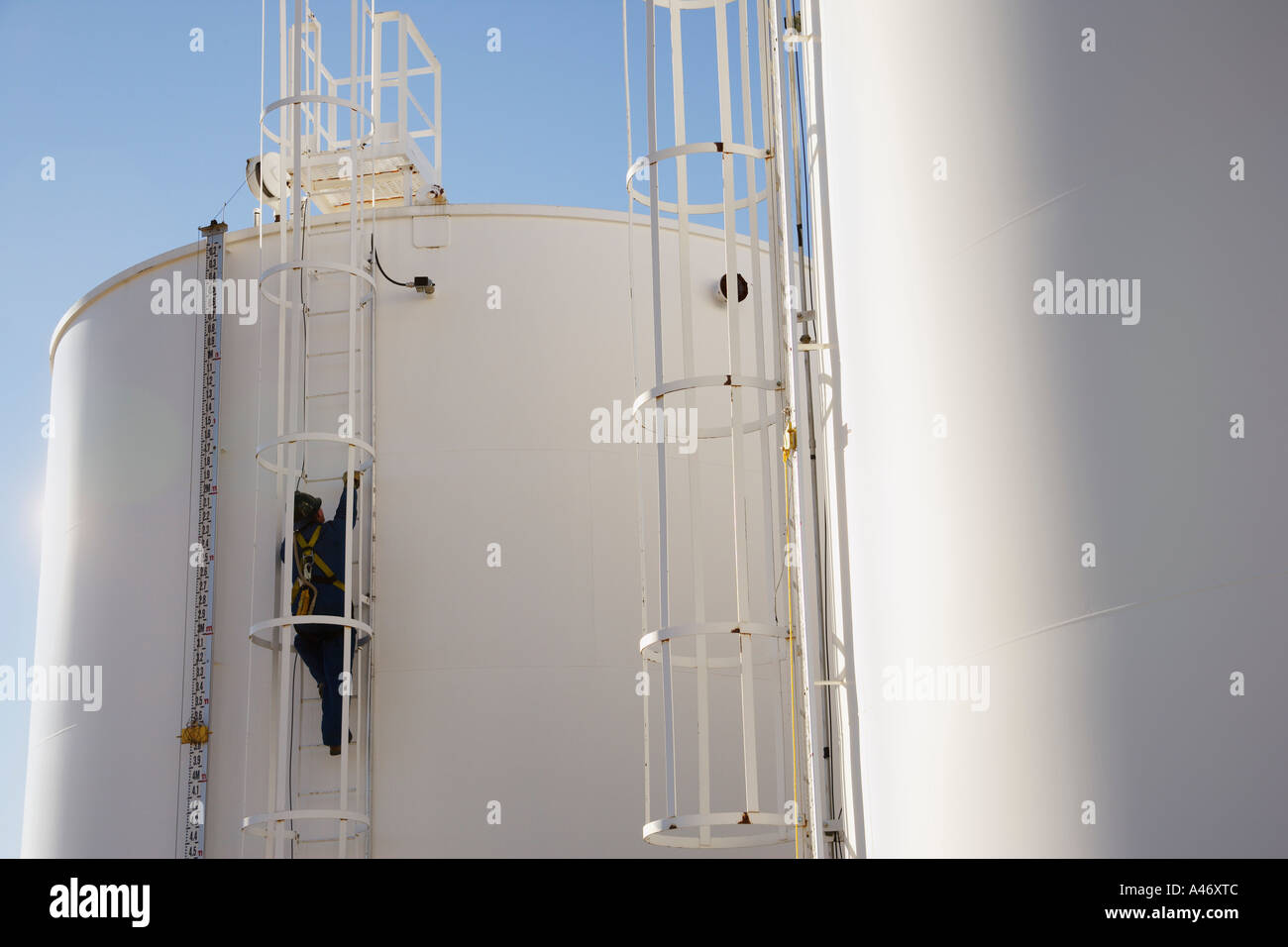 Blue collar worker Stock Photo Alamy