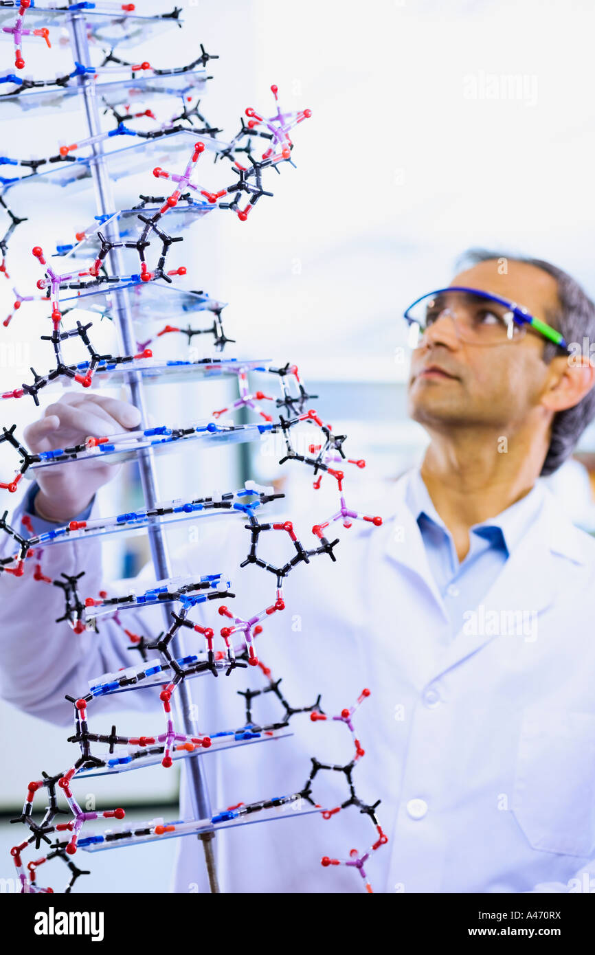 Indian male scientist holding DNA model Stock Photo Alamy