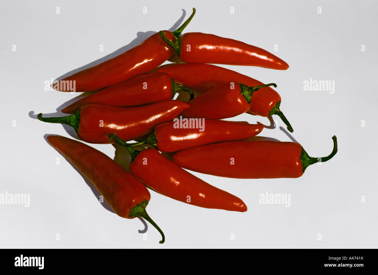 Red Chilly Stock Photo