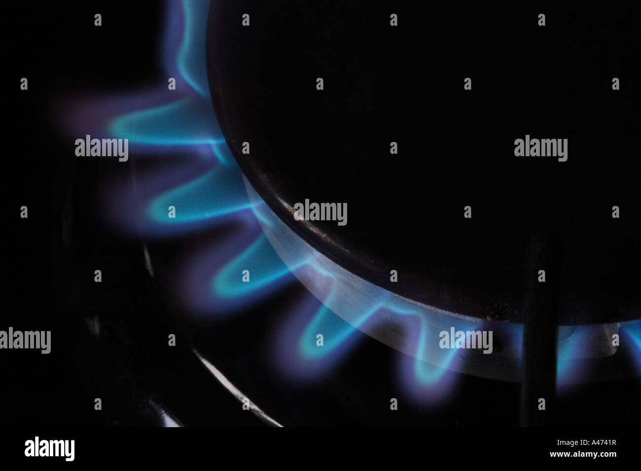 Gas cooker gas flames Stock Photo Alamy