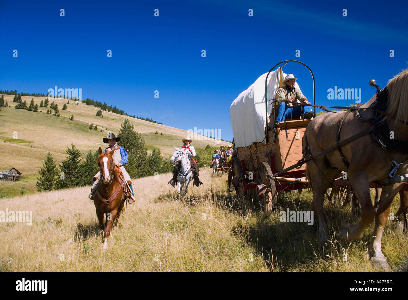 Travel by horse and carriage Stock Photo Alamy