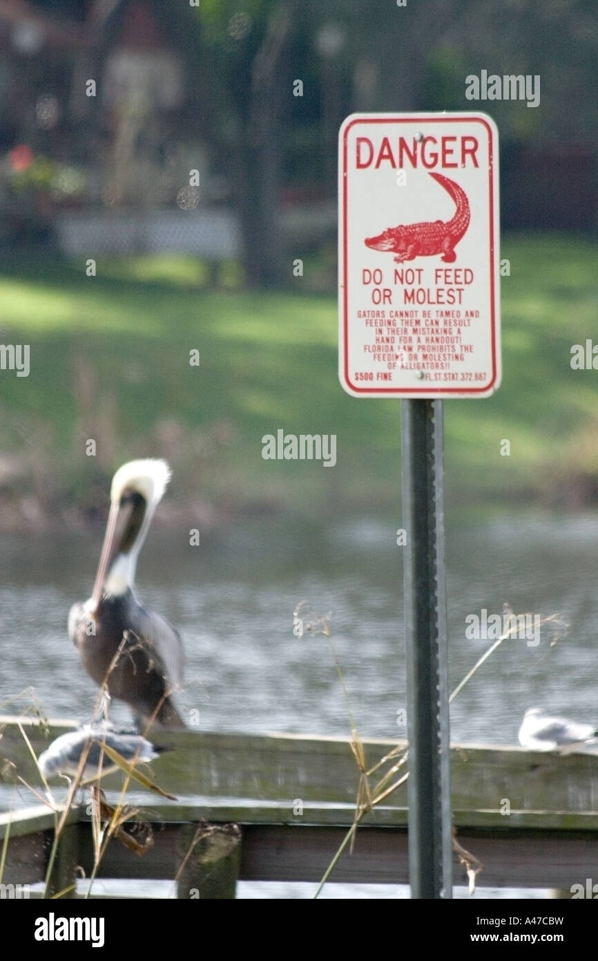 Molest hi-res stock photography and images - Alamy