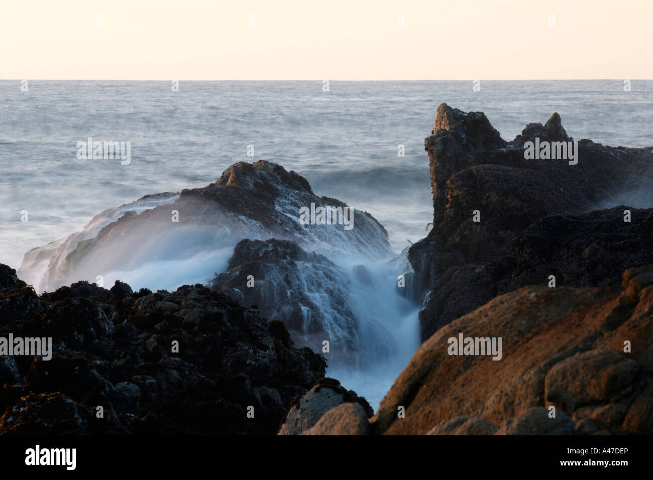 Sea stacks in Monterey, California Stock Photo - Alamy
