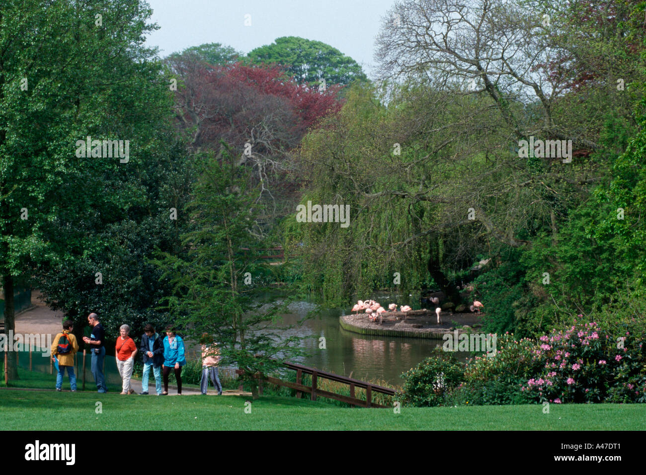 Jersey zoo hires stock photography and images Alamy