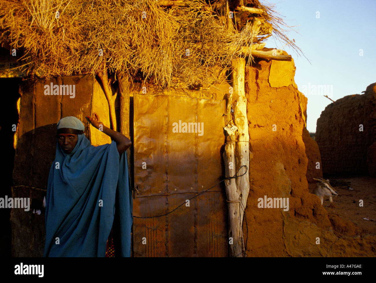 A woman in the village of Ali Shahin self declared independent country of Somaliland  stands by her hut with a goat Stock Photo