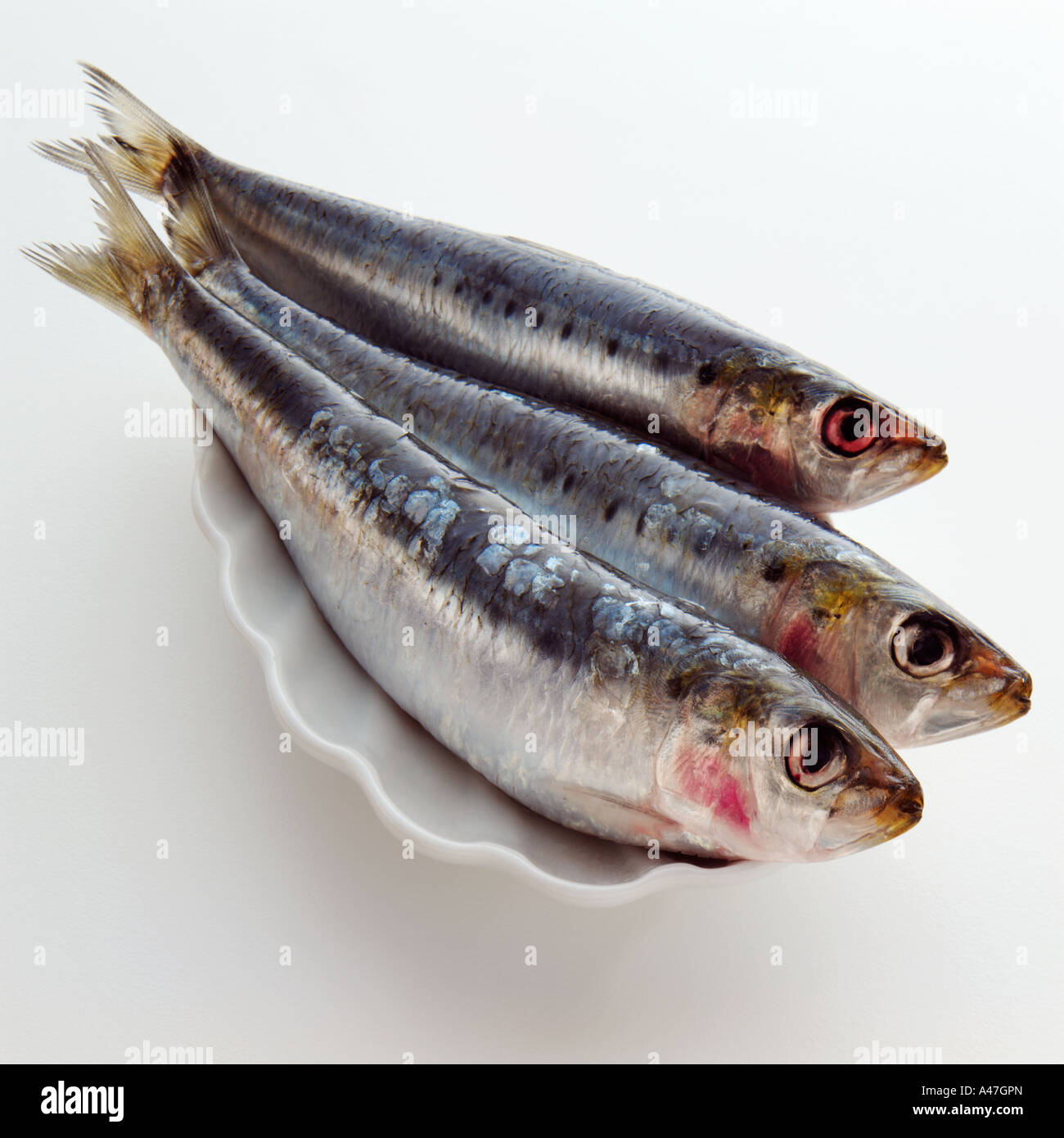 Three raw sardines on a white background editorial food Stock Photo Alamy
