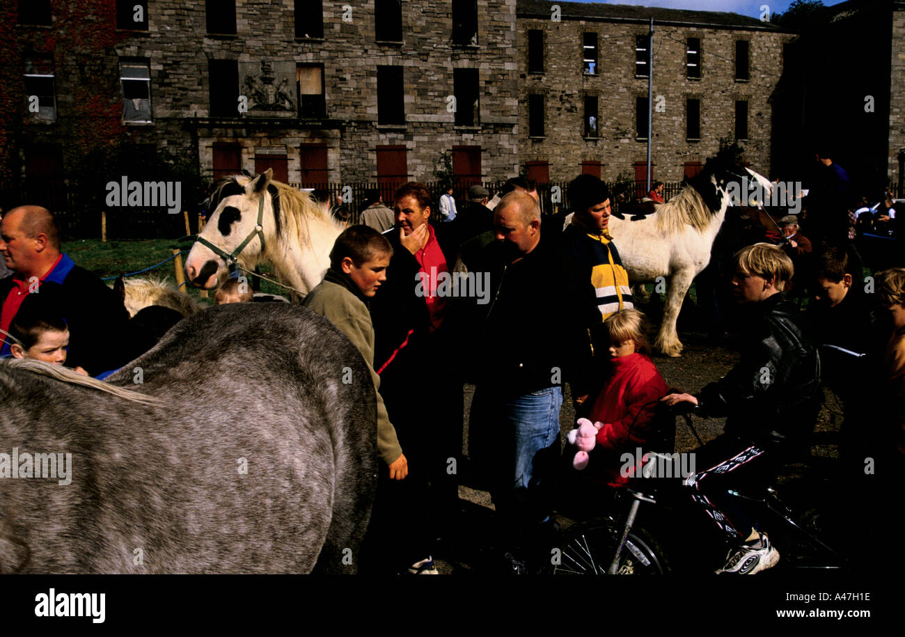 dublin dublin horse market smithfield Stock Photo Alamy