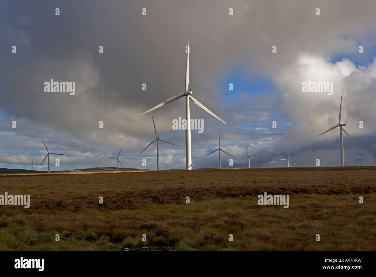 Wind power turbines, Causeymire wind farm, North Scotland, UK Stock Photo Alamy
