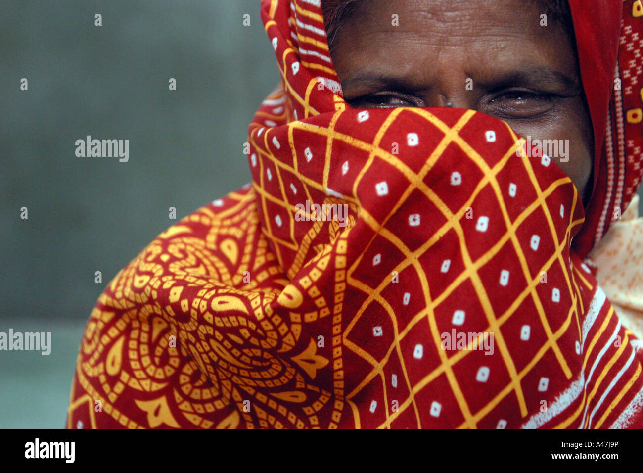 A portrait of an Indian woman wearing traditional clothing Stock Photo ...